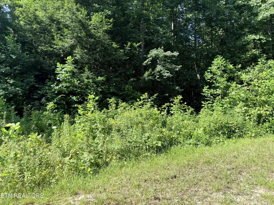 760 Dubose Drive, Jamestown, TN 38556 - #3