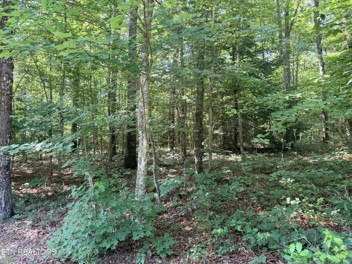 390 Georgee Rd, Jamestown, TN 38556 - #1