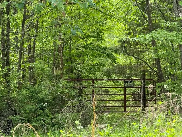 637 Hargis Rd, Bumpus Mills, TN 37028 - #3