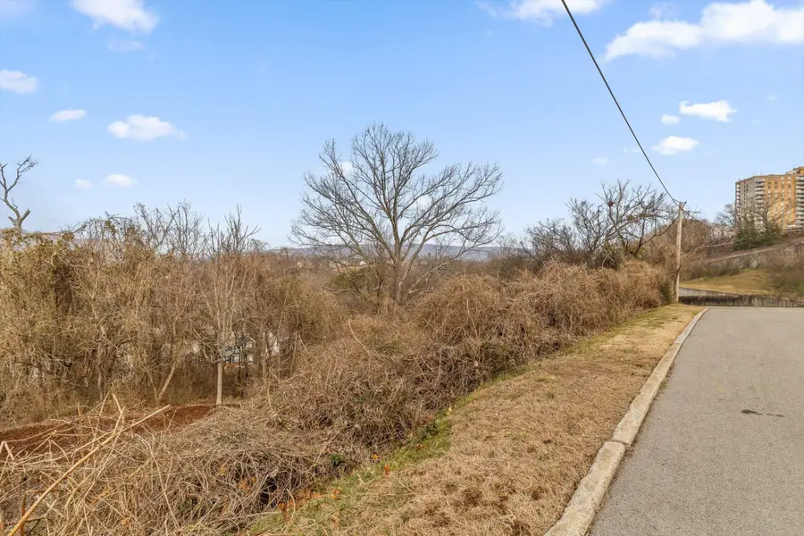 497 Wayne Avenue, Chattanooga, TN 37405 - #3