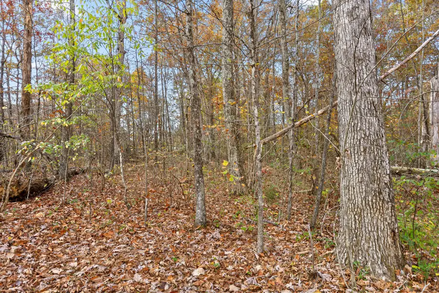 612 Miles Road, Signal Mountain, TN 37377 - #3