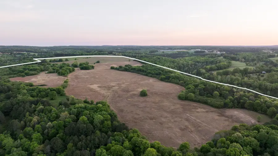 778 County Road 65, Collinsville, AL 35961 - #3
