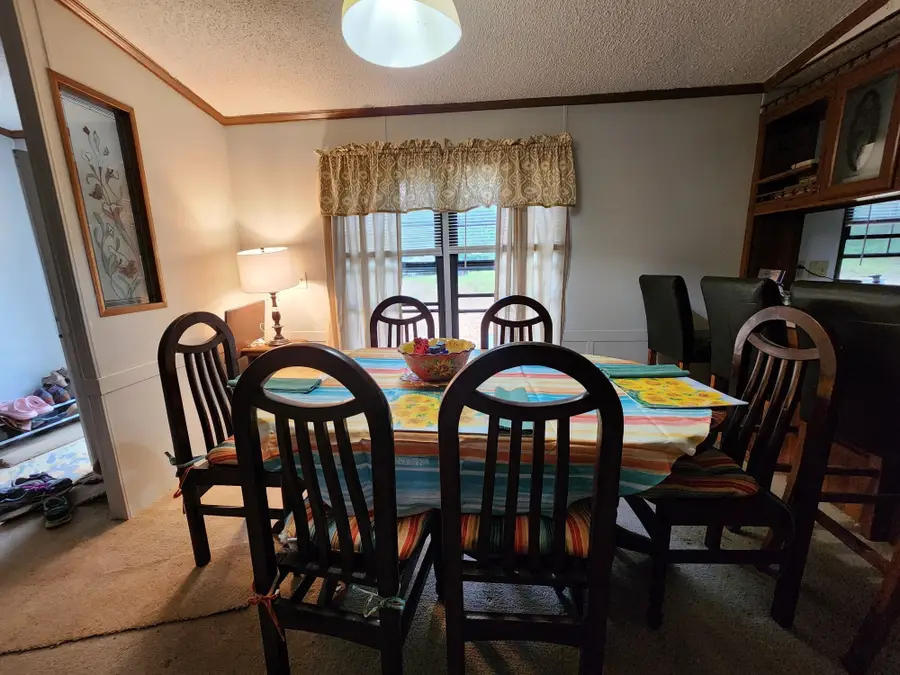 1135 Cane Ridge Rd, Hohenwald, TN 38462 - #3