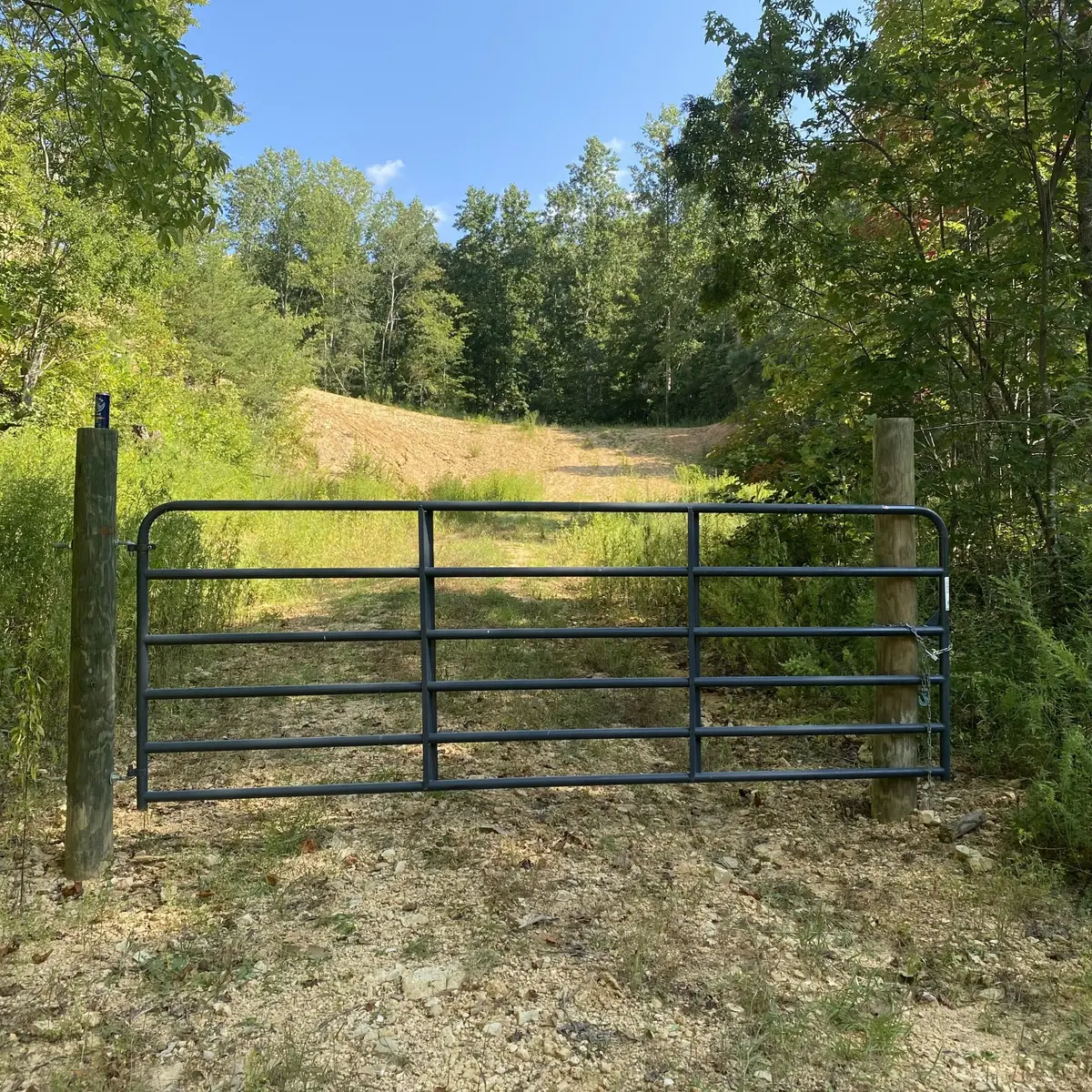 401 Napier Rd, Hohenwald, TN 38462 - #1