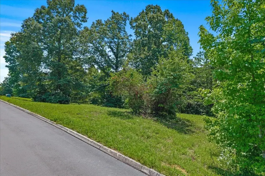 16 Copper Still Way Drive, Madisonville, TN 37354 - #2