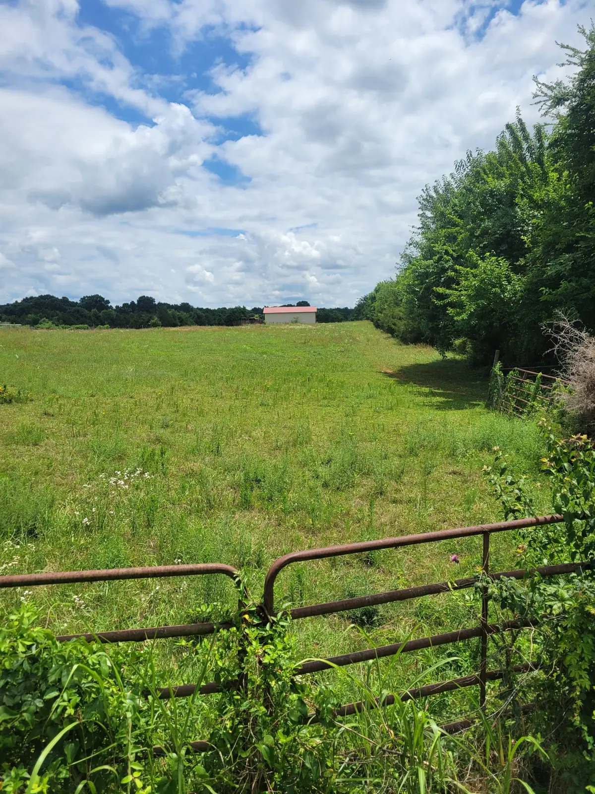 0 Midland Fosterville, Bell Buckle, TN 37020 - #1