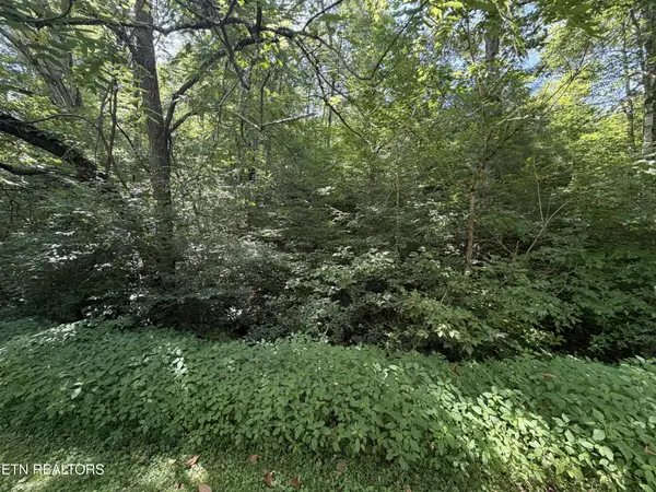 11 Smoky Mountain Way, Sevierville, TN 37876