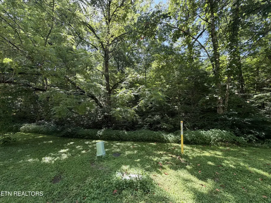 11 Smoky Mountain Way, Sevierville, TN 37876 - #2