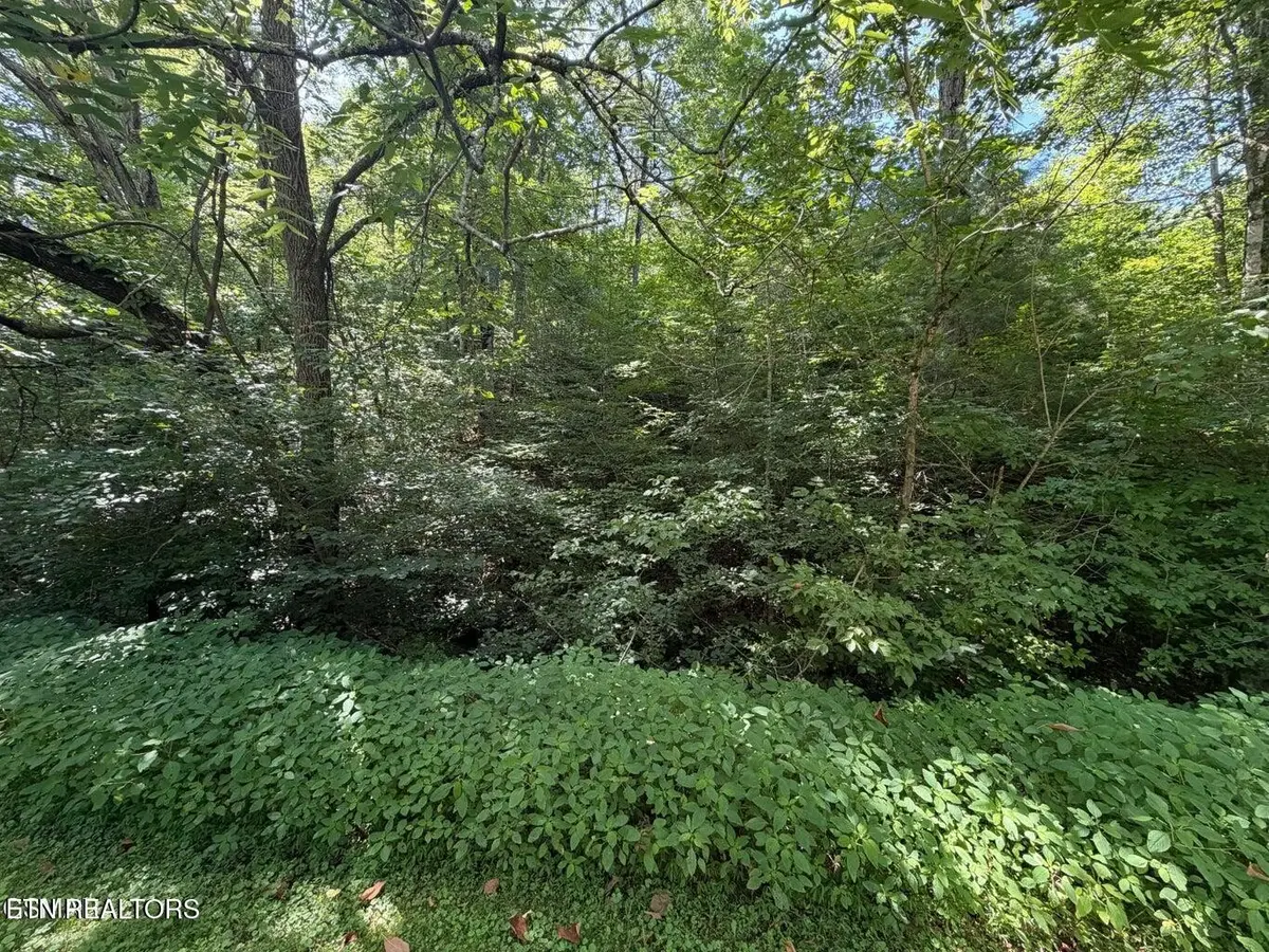 12 Smoky Mountain Way, Sevierville, TN 37876 - #1