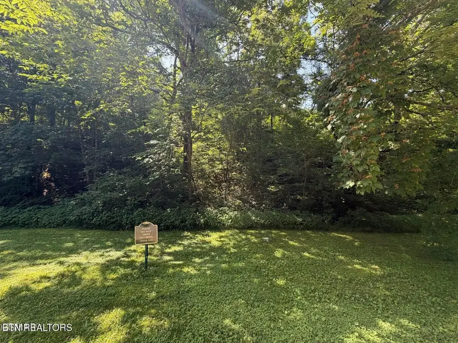 12 Smoky Mountain Way, Sevierville, TN 37876 - #3