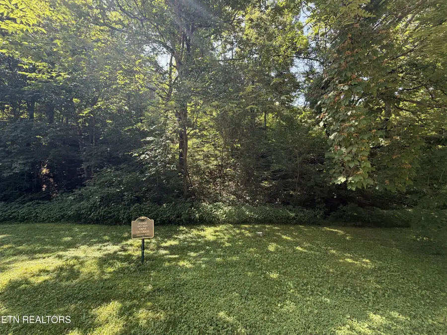 13 Smoky Mountain Way, Sevierville, TN 37876 - #3