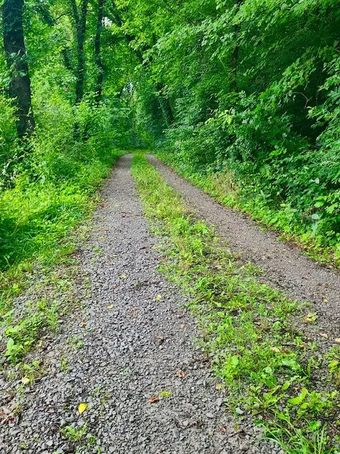 1640 Allen Brown Rd, Belfast, TN 37019 - #3