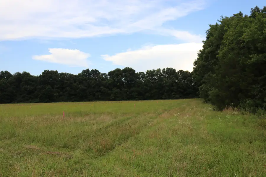0 Laws Hill Road, Lewisburg, TN 37091 - #2