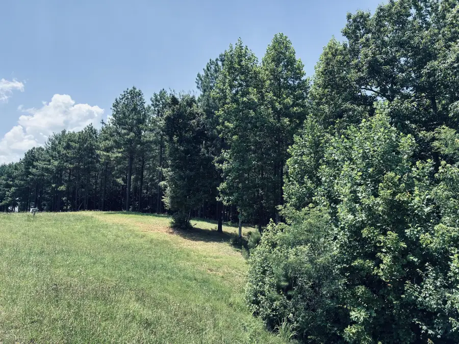 1711 Raulston Falls Road, Jasper, TN 37347 - #3