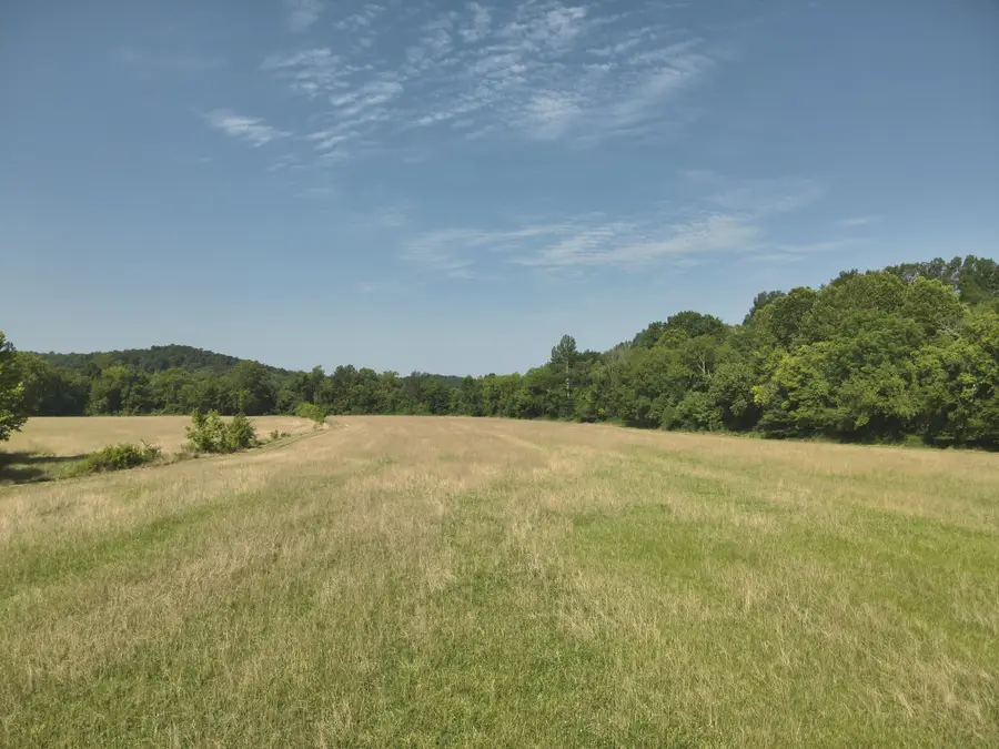 0 Culps Bend Rd, Clifton, TN 38425 - #3
