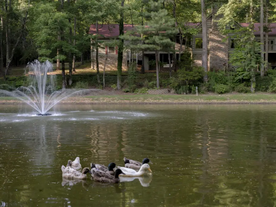 7348 Bradford Rd, Primm Springs, TN 38476 - #2