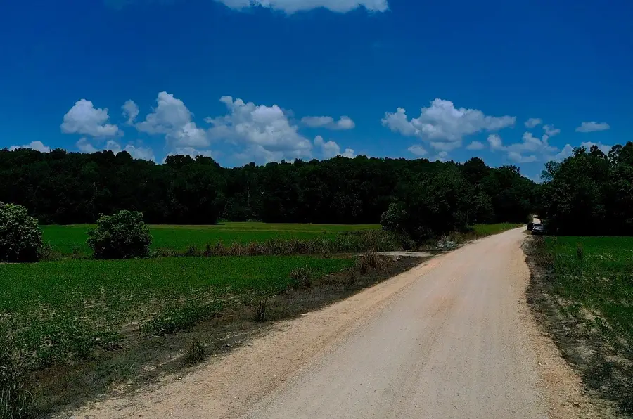 0 Old Furnace Rd, Decaturville, TN 38329 - #3
