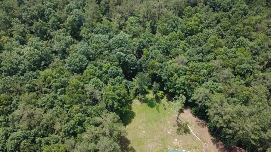 159 Topsy Rd, Hohenwald, TN 38462 - #3