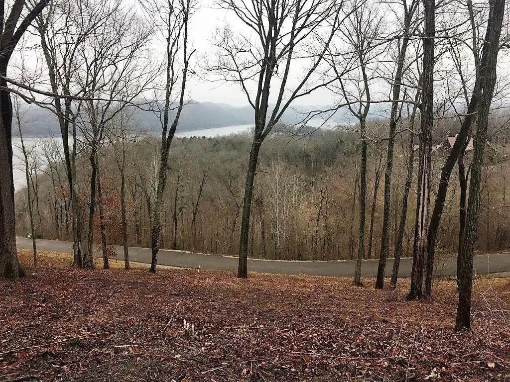 410 Wilson Circle, Smithville, TN 37166 - #1