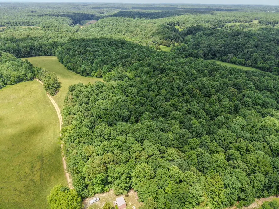 215 Clear Creek Rd, Leoma, TN 38468 - #2