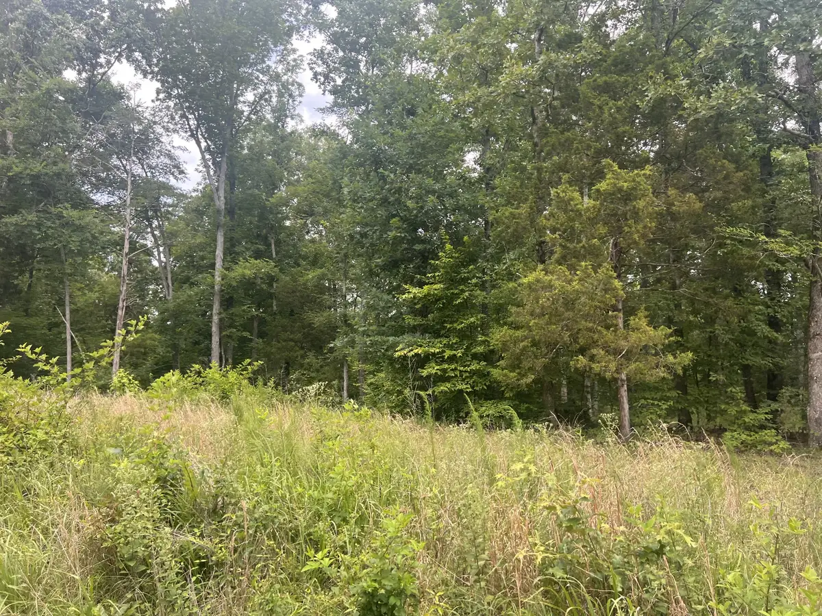 5 Toms Creek Lake Rd, Linden, TN 37096 - #1