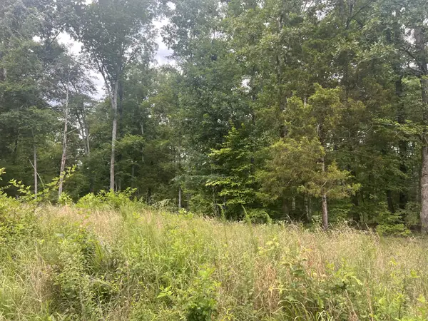 5 Toms Creek Lake Rd, Linden, TN 37096