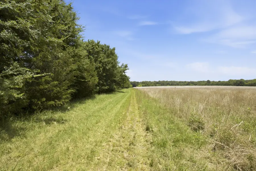 990 Bethleham Church Road, Shelbyville, TN 37160 - #3