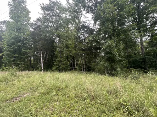 8 Toms Creek Lake Rd, Linden, TN 37096