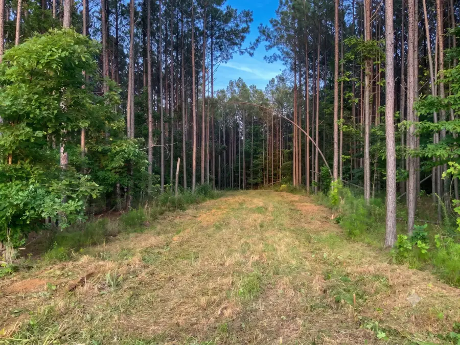 0 Adaleighs Way, Big Sandy, TN 38221 - #2