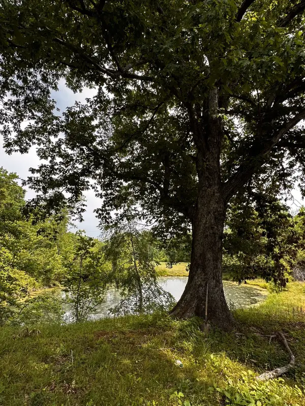 119 Rodger Carroll Rd, Hohenwald, TN 38462