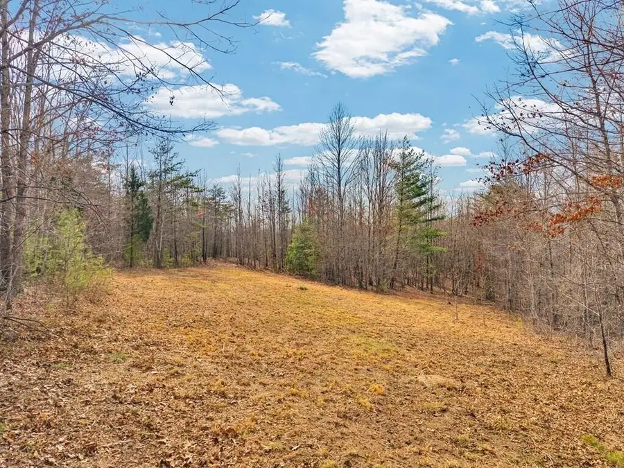 0 Soak Creek Lane, Grandview, TN 37337 - #2