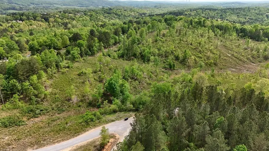 7 Eldridge Road, Birchwood, TN 37308 - #3