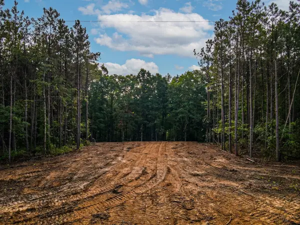 0 Brush Creek Rd, Hohenwald, TN 38462