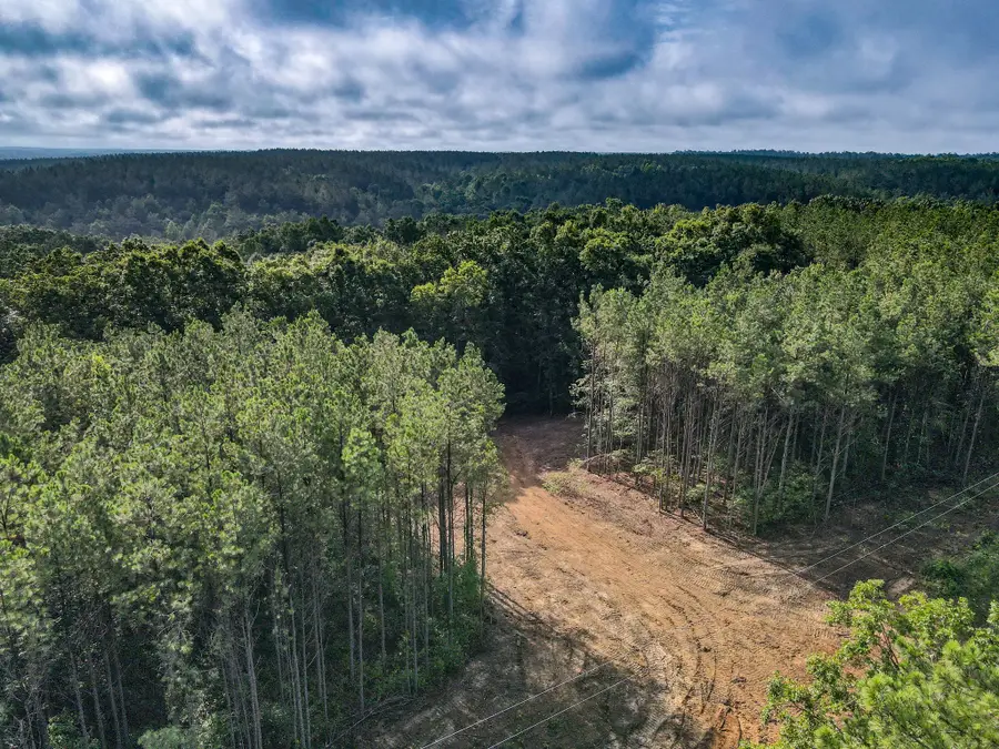 0 Brush Creek Rd, Hohenwald, TN 38462 - #3