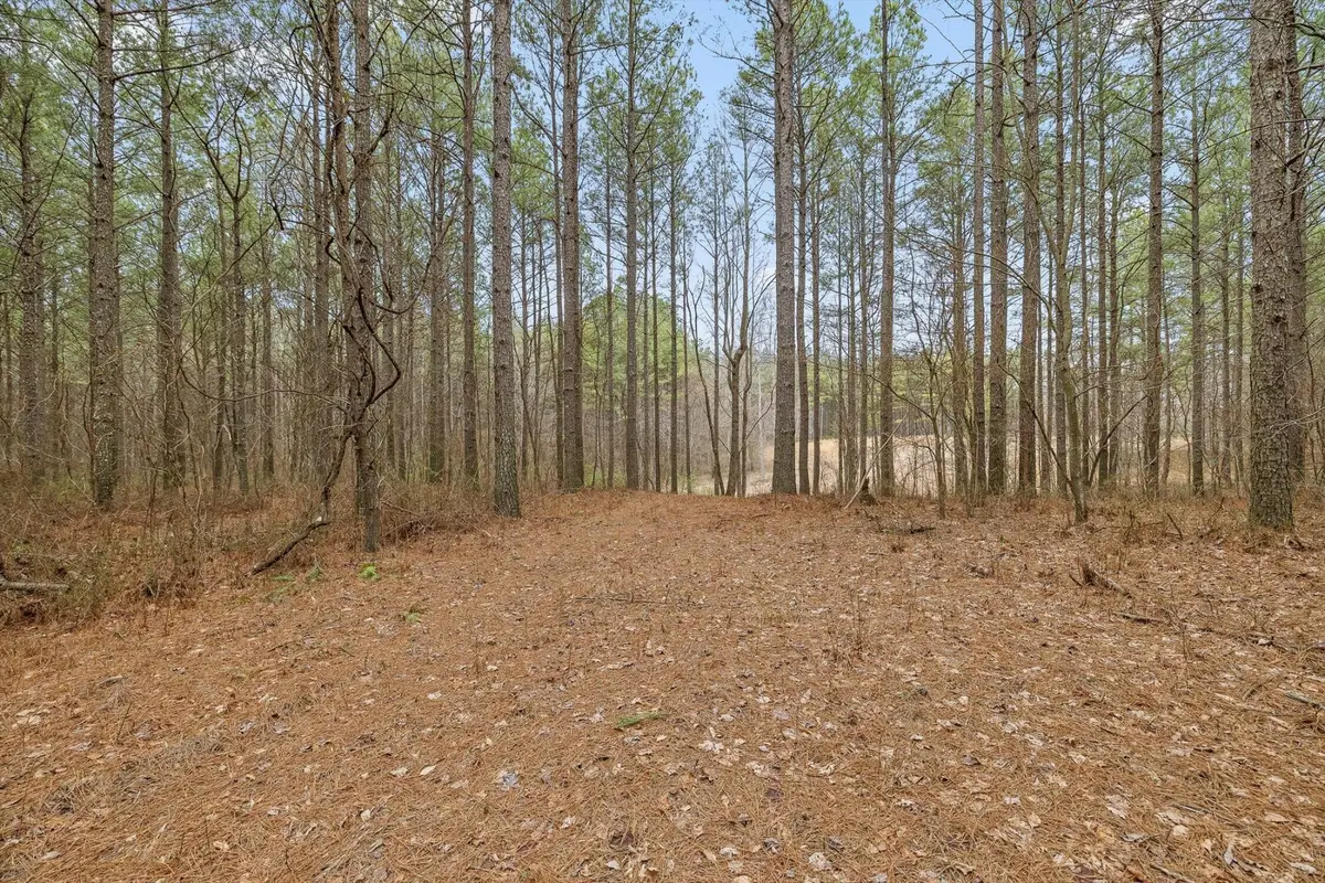 0 Melody Drive, Guild, TN 37340 - #1