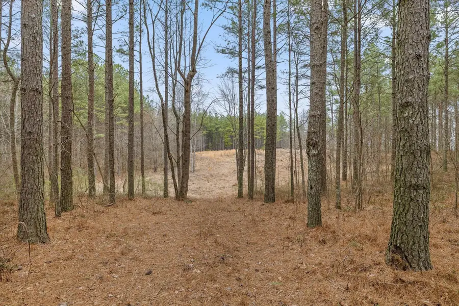 0 Melody Drive, Guild, TN 37340 - #2