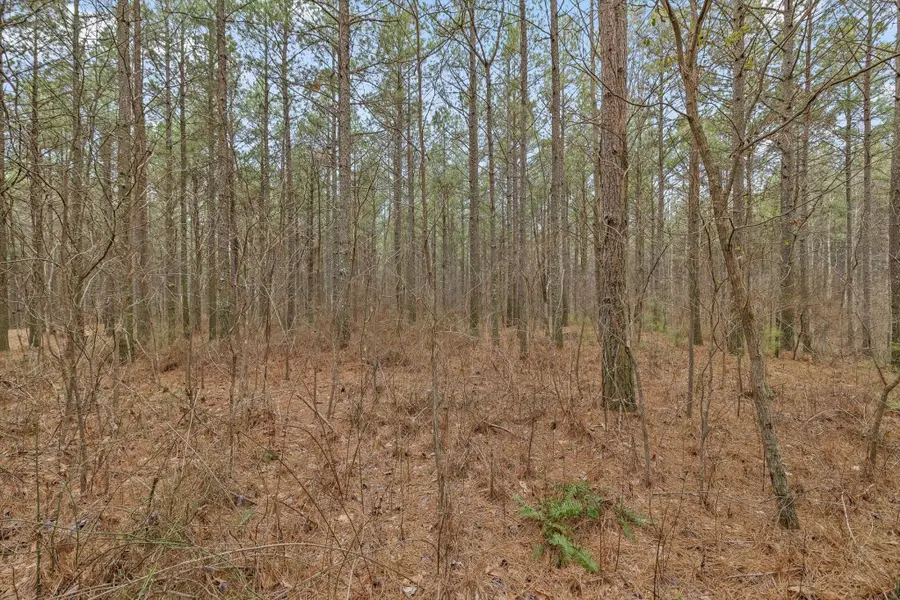 0 Melody Drive, Guild, TN 37340 - #3