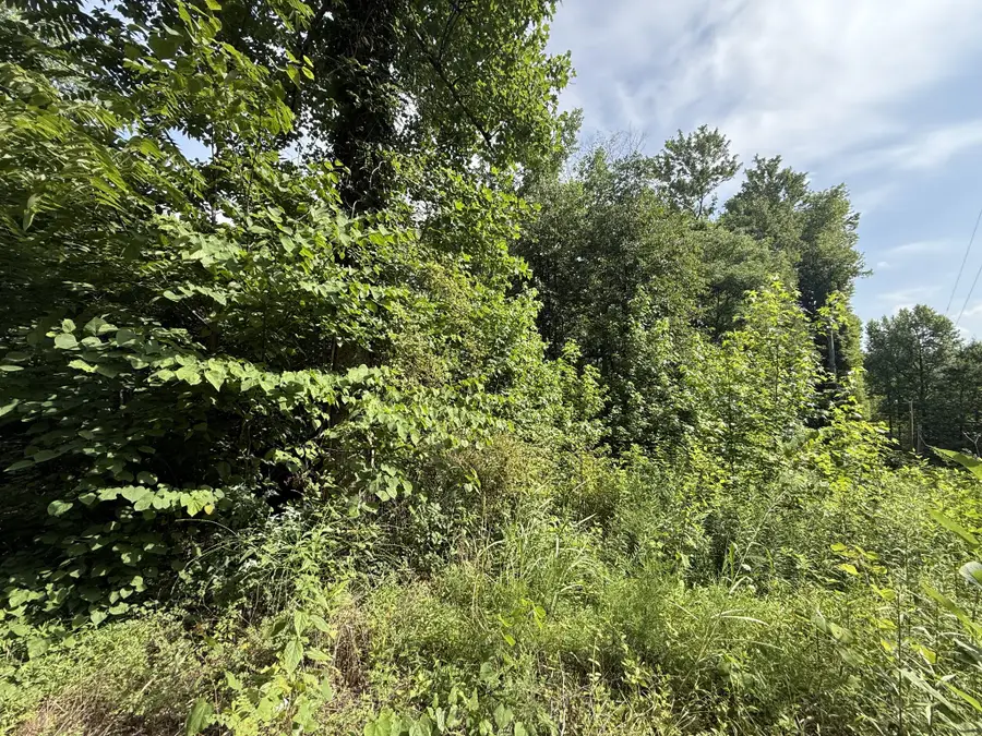 0 Rocky Point Rd, Cookeville, TN 38506 - #3