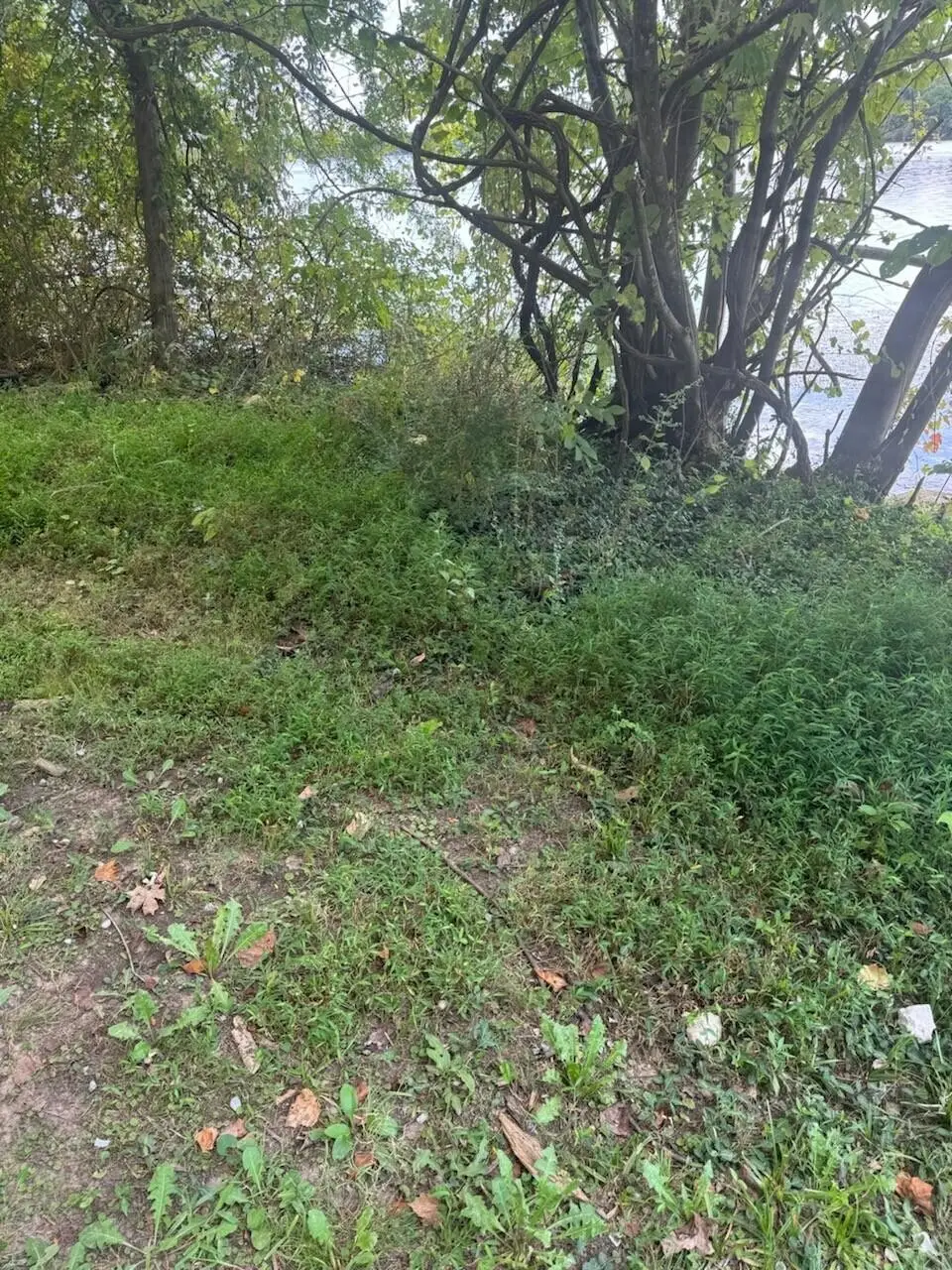 0 Circle Road, Crossville, TN 38572 - #1