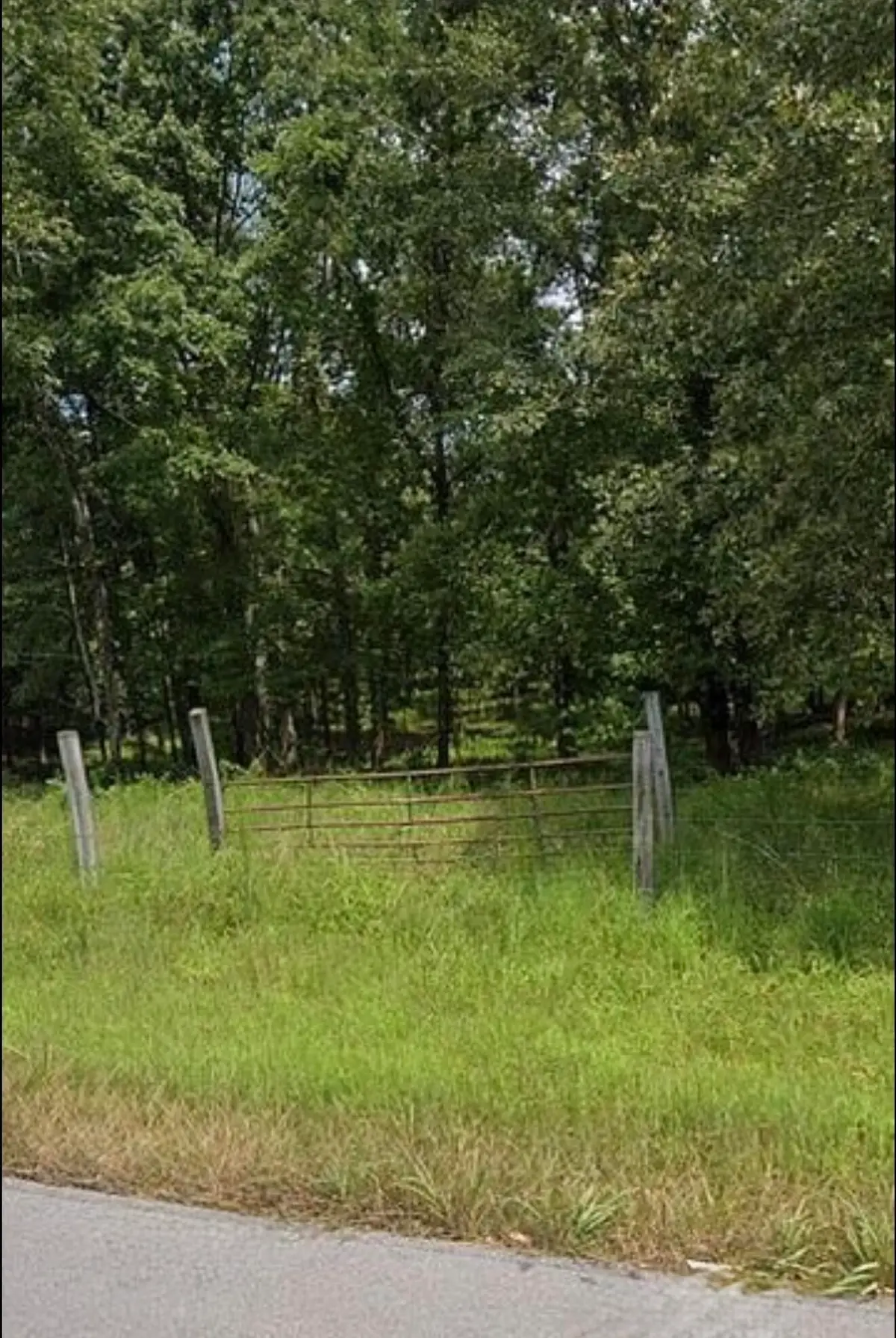12702 Cranfield Road, Birchwood, TN 37308 - #1