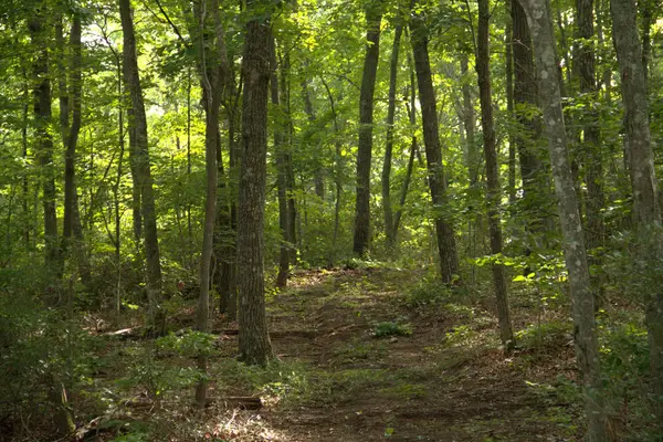 0 Bluff Line Dr, McMinnville, TN 37110
