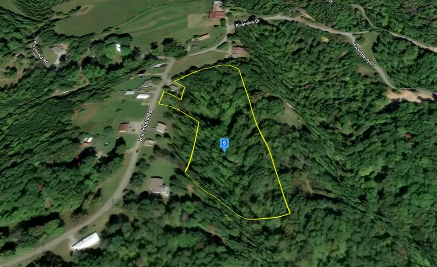 970 Burchfield Rd, Dandridge, TN 37725 - #3