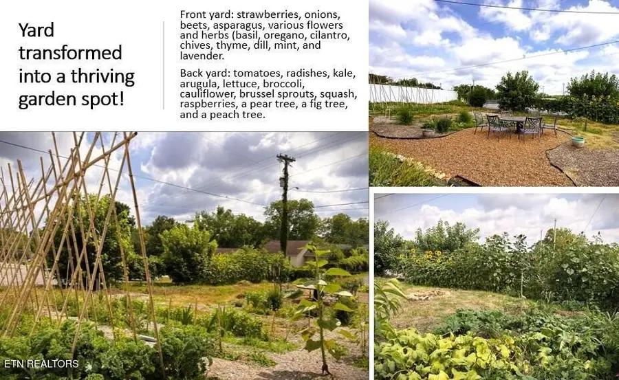 298 E Jere Whitson Rd, Cookeville, TN 38501 - #3
