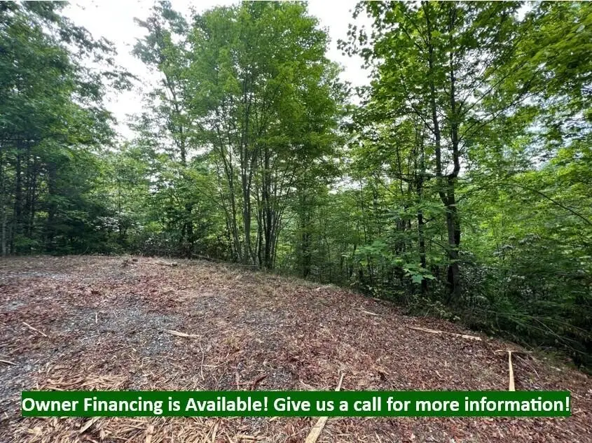180 Jones Creek Lane, Sevierville, TN 37876 - #1