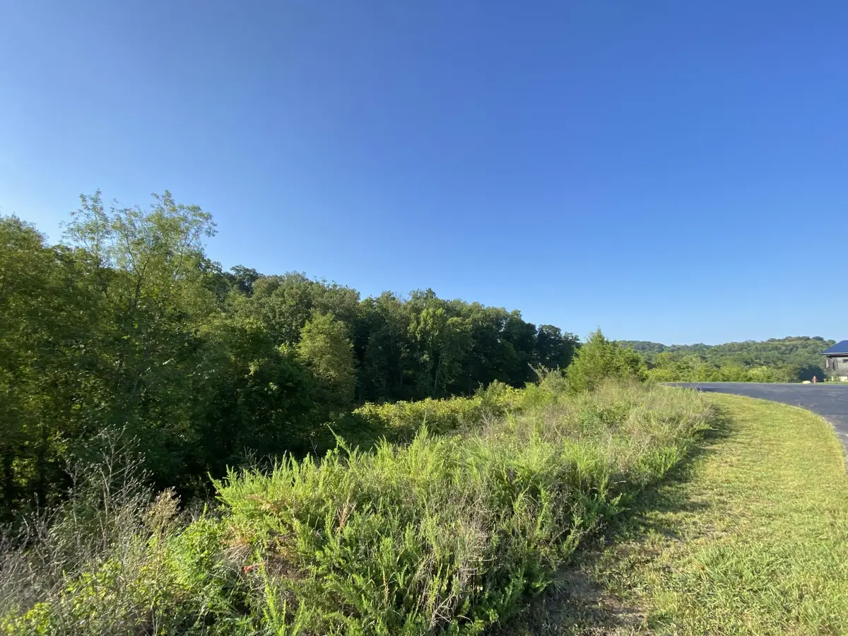 65 Sanctuary Shores Way, Sevierville, TN 37876 - #1