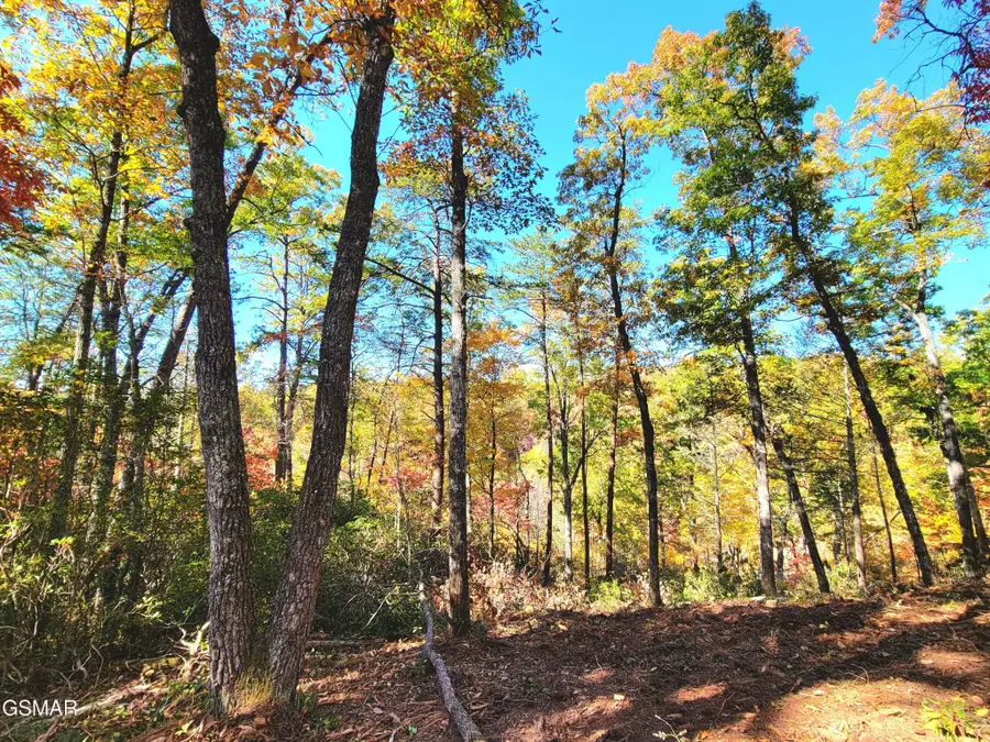 54 Riversong Ridge Way, Sevierville, TN 37876 - #3
