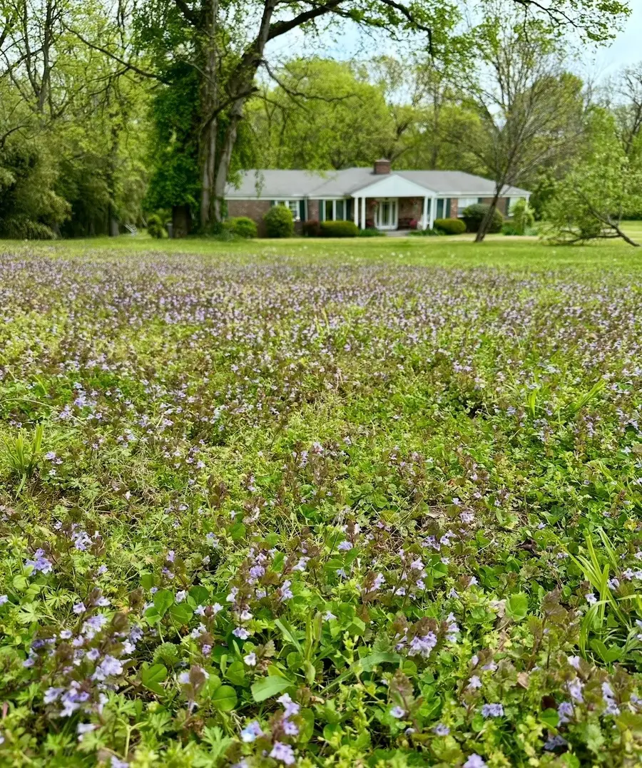 853 Pasadena Dr, Nashville, TN 37204 - #3