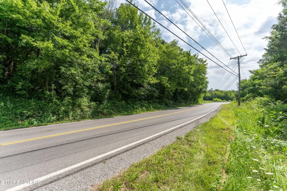 1246 Deep Springs Rd, Dandridge, TN 37725 - #1