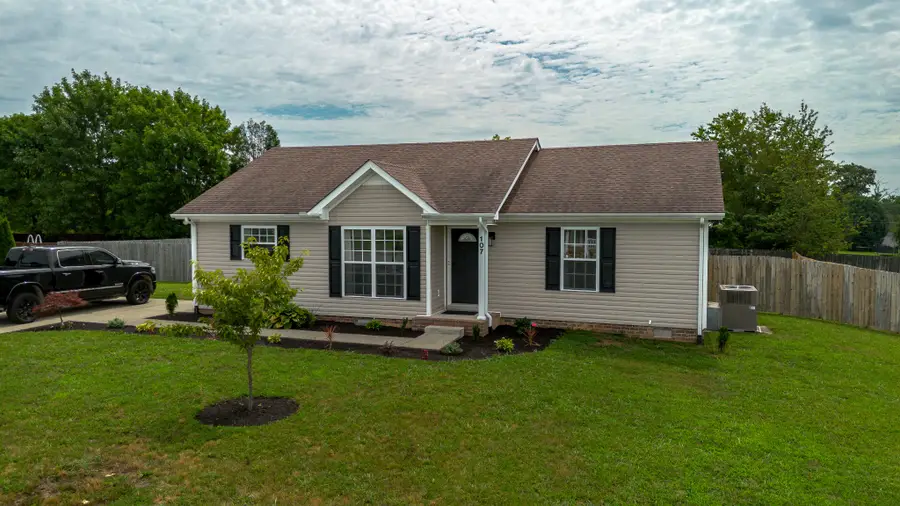 107 Locke Ct, Portland, TN 37148 - #3