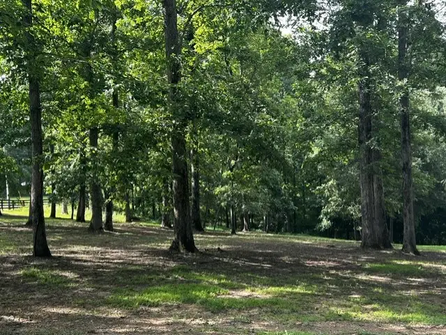 7865 Barnhill Rd, Primm Springs, TN 38476 - #2